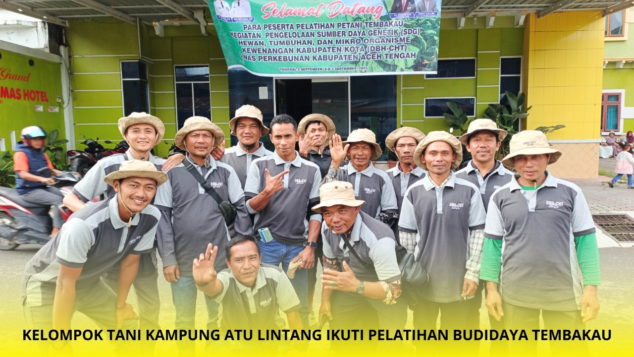 Kelompok Tani Atu Lintang Belajar Budidaya Tembakau