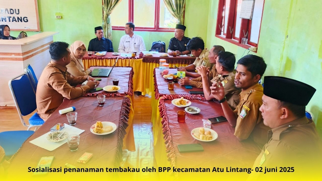 Peningkatan Potensi Ekonomi Masyarakat Kampung Atu Lintang Melalui Sosialisasi Penanaman Tembakau