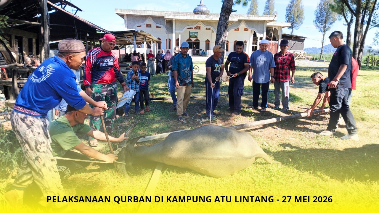 Enam Dusun di Atu Lintang Siapkan Puluhan Hewan Qurban