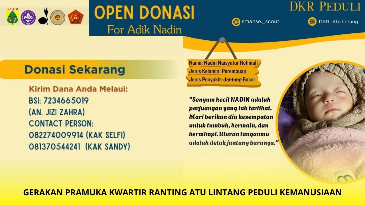 Setitik Donasi, Selamatkan Jantung Kecil Nadin