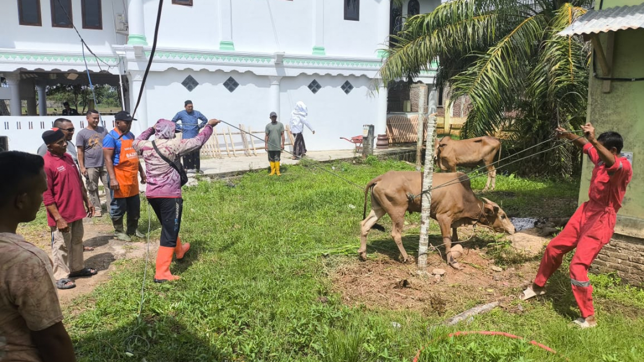 Semangat Berqurban di Gampong Tanjong Teungku Ali