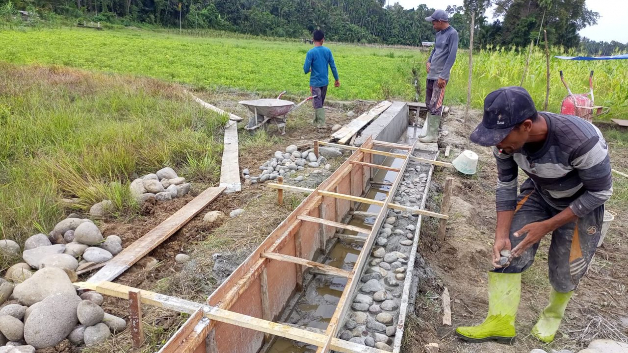 Pemerintah Gampong Gunci Membangun Saluran Irigasi Sawah