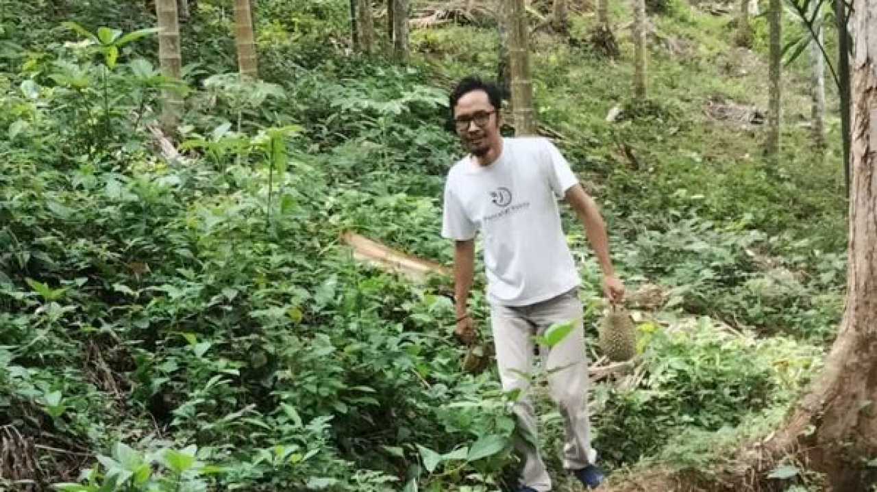 Durian Desa Gunci Aceh Utara, Memiliki Cita Rasa Enak Dengan Harga Murah