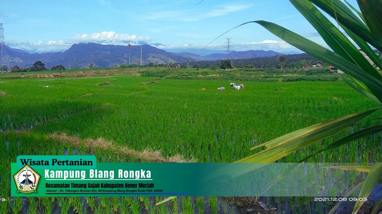 Wisata Pertanian