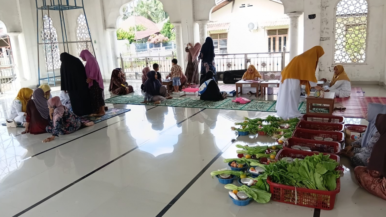 Kegiatan posyandu Gampong