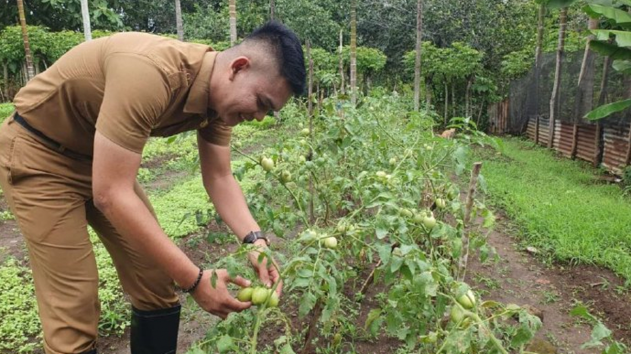 Program Kelompok Tani Krueng Raya Dilanjutkan