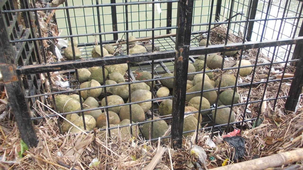 Menyingkap Keajaiban Kara Sangadulo: Potensi Wisata Batu Bertelur di Nias Utara