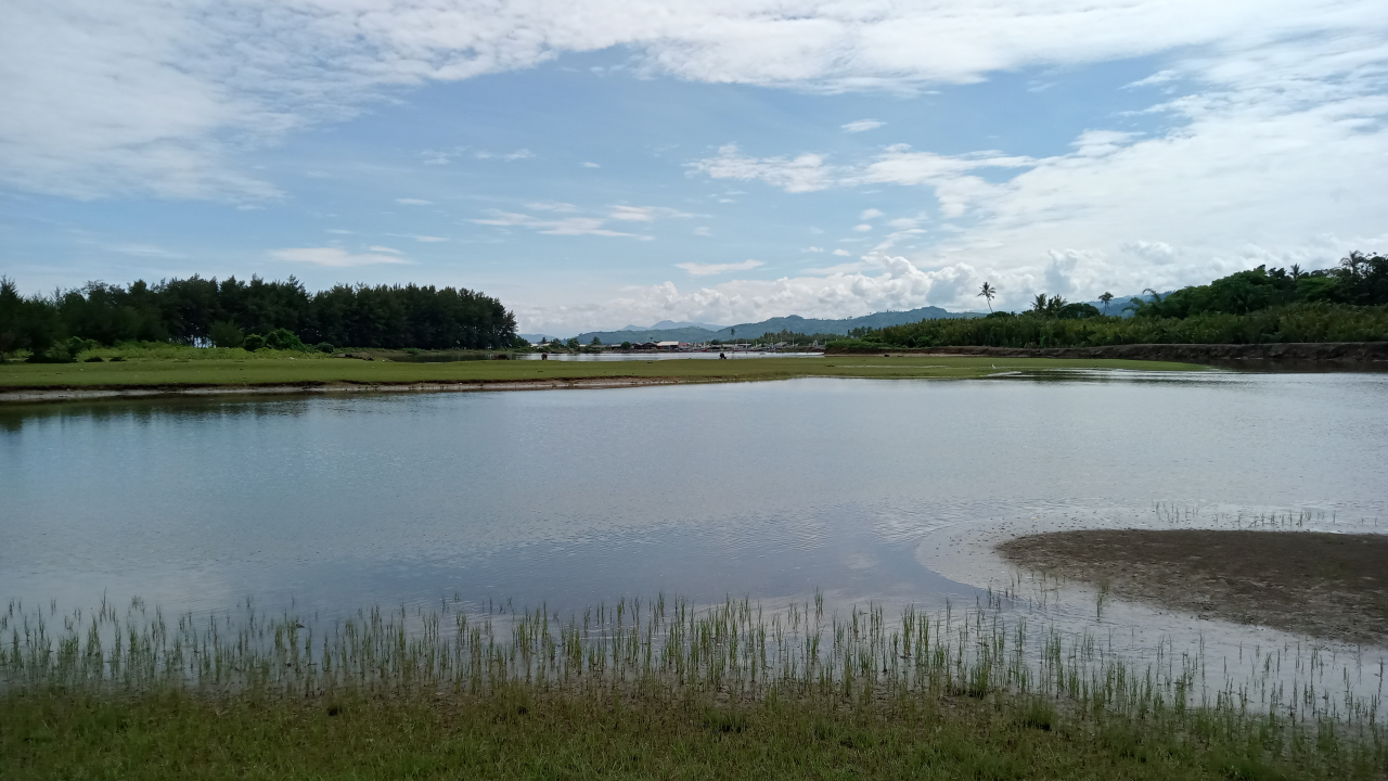 Wisata Pantai Samudera Kampung Pasar Surantih