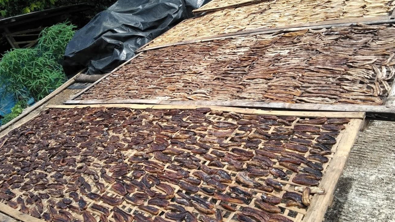 PISANG SALE ASLI LUNANG SELATAN: WARISAN CITA RASA TRADISIONAL