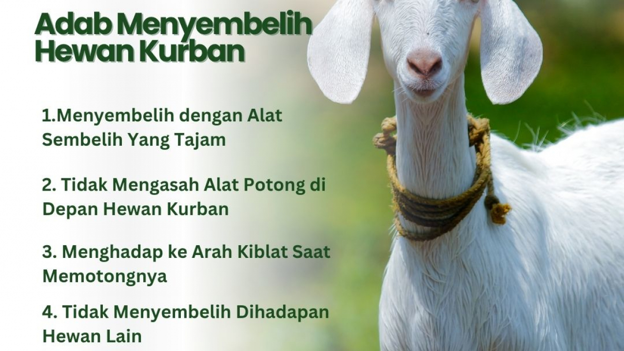 ADAB DI DALAM MEMOTONG HEWAN KURBAN