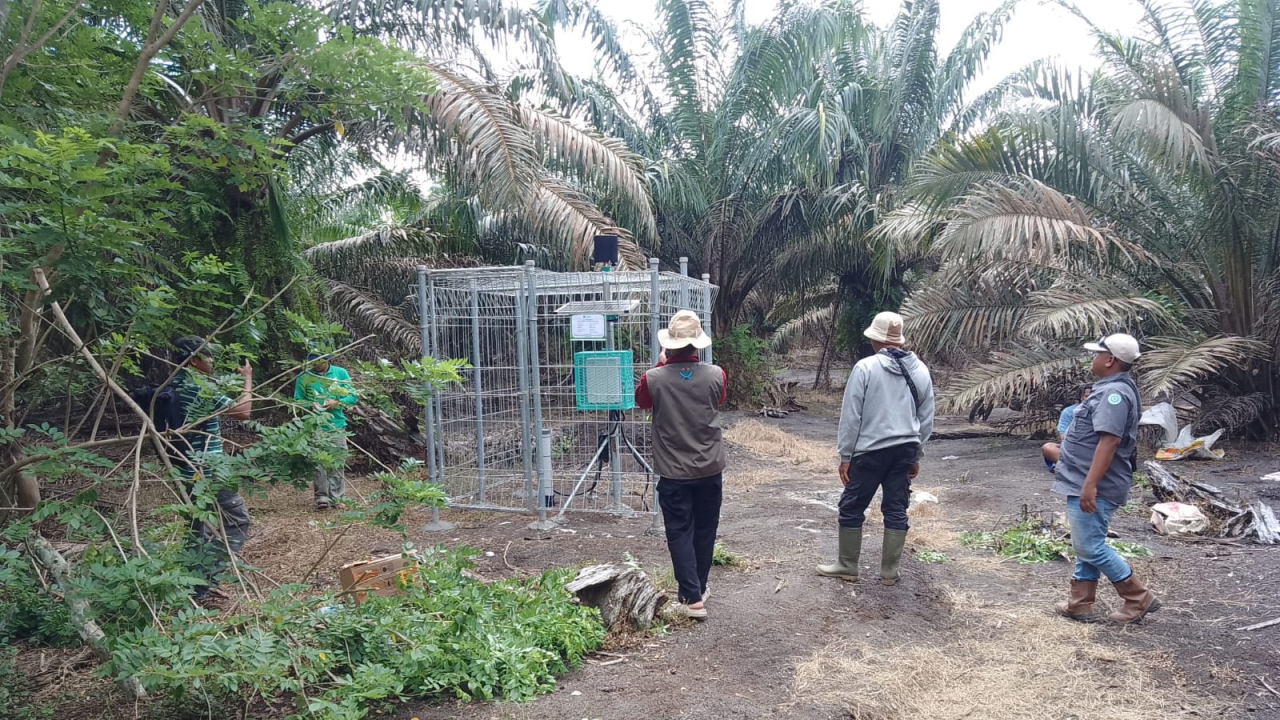 Piezometer dan Automatic Water Level Recorder (AWLR)