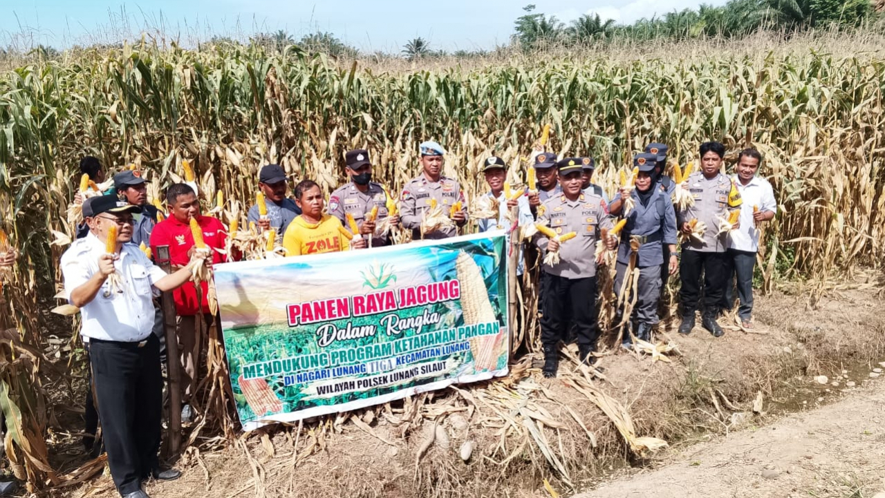 PANEN RAYA JAGUNG DALAM RANGKA MENDUKUNG PROGRAM KETAHANAN PANGAN