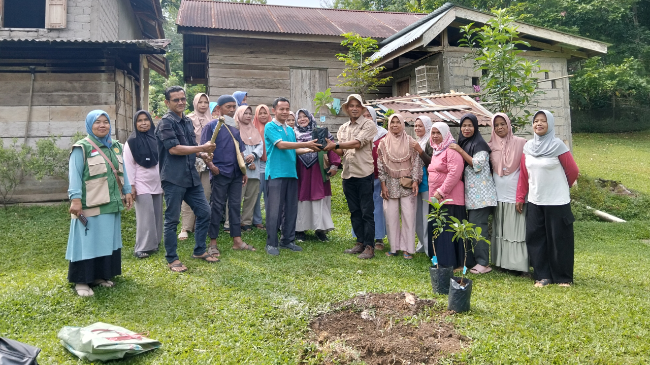 🌱 Penanaman Alpukat Mentega Bersama Kelompok Tani Suka Maju, Wujudkan Pertanian Produktif di Nagari Kandang Baru