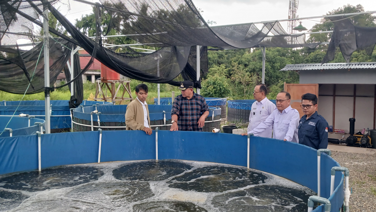 Peningkatan Ketahanan Pangan di Nagari Pariangan Melalui Studi Banding Budidaya Ikan Bioflok di Desa Kampung Baru