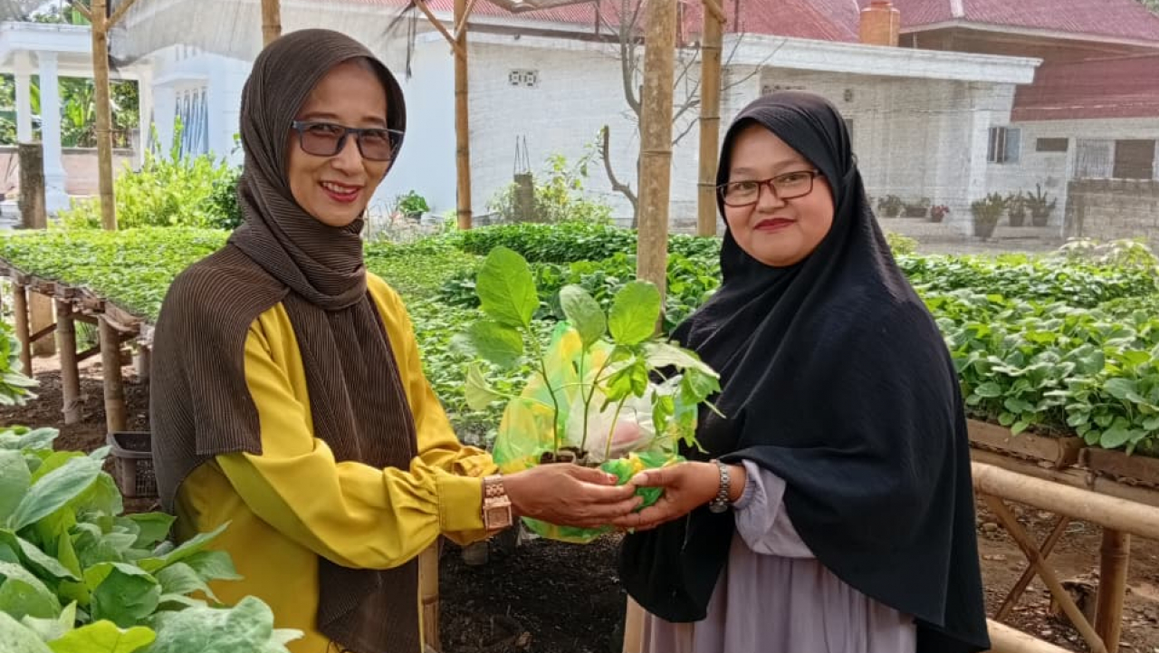 PKK Koto Tangah Simalanggang Dorong Ketahanan Pangan melalui Program AKU HATINYA PKK