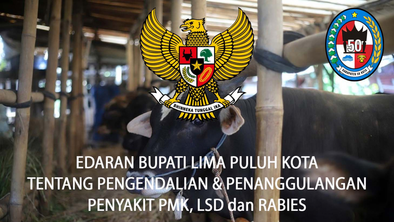 Surat Edaran Bupati Lima Puluh Kota: Pengendalian Penyakit Mulut dan Kuku (PMK), Lumpy Skin Disease (LSD), serta Rabies di Kabupaten Lima Puluh Kota
