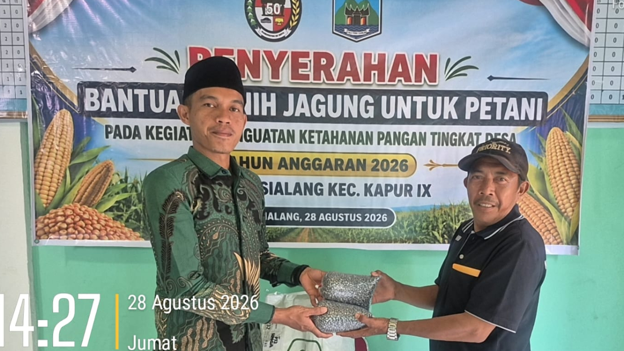 KEGIATAN BANTUAN BENIH JAGUNG UNTUK PETANI