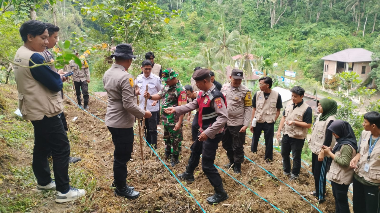 Desa Silungkang Oso Tanam Jagung untuk Ketahanan Pangan