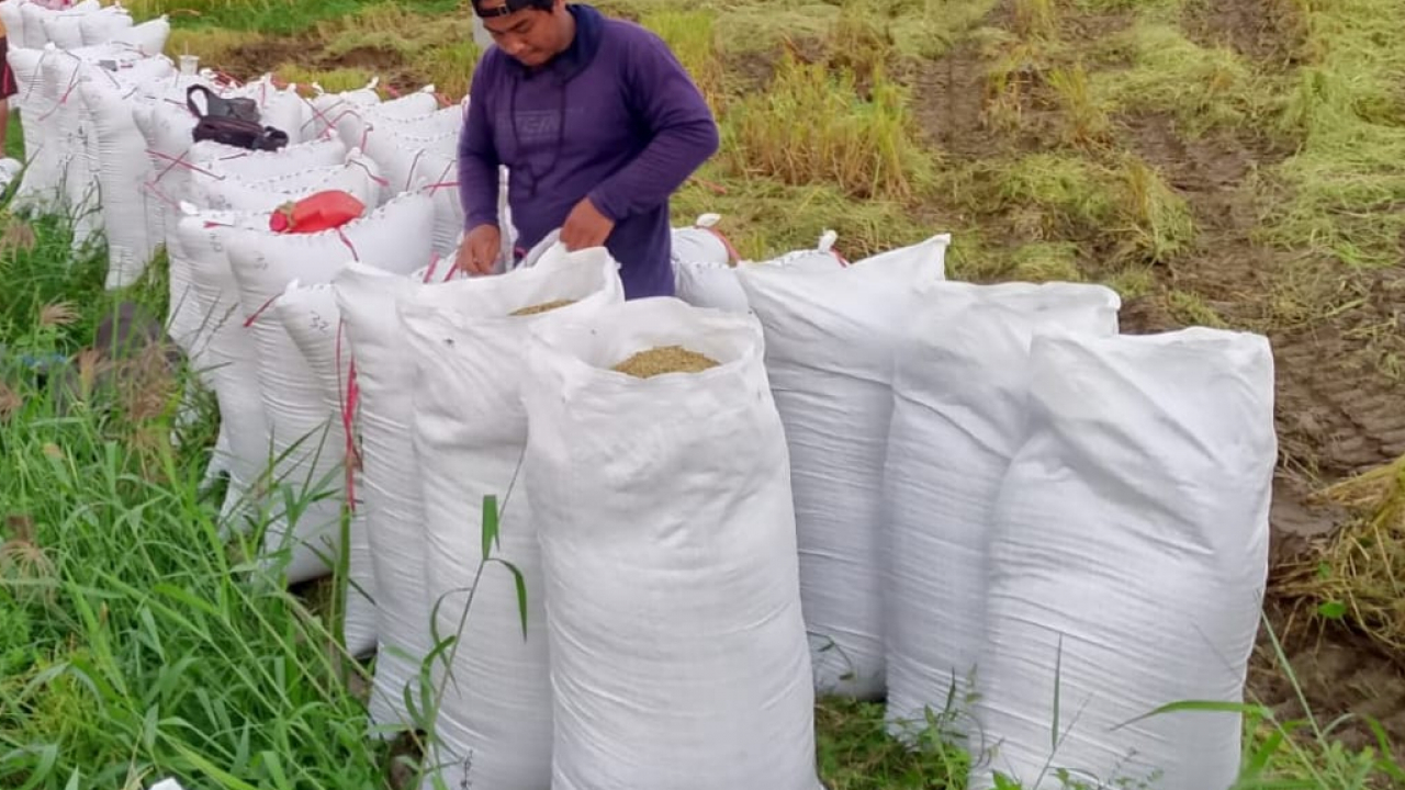 Pelatihan Layanan Digital untuk Desa Sungai Pinang yang Lebih Maju