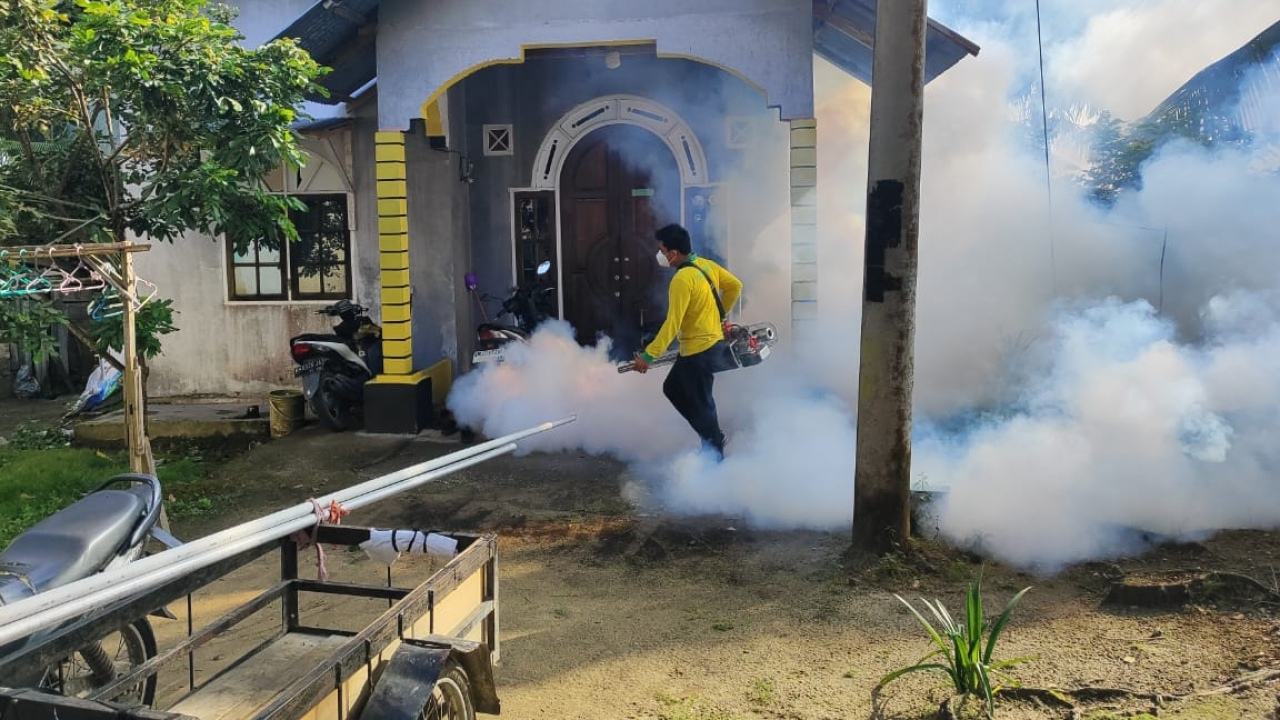 Cegah DBD, Desa Pangkalan Baru Gandeng Puskesmas