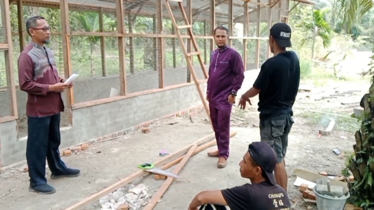 Ayam Kampung Unggul: Upaya Desa Langkat Tingkatkan Ekonomi Masyarakat