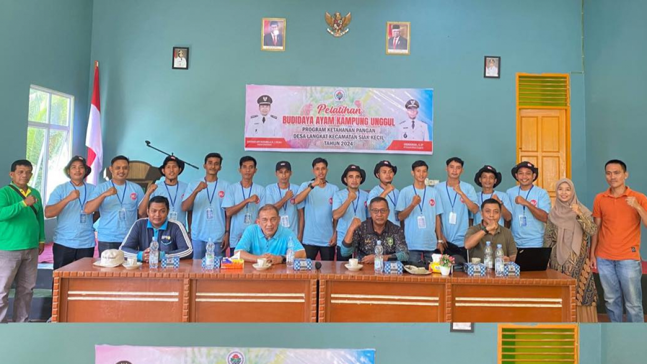 Pelatihan budidaya ayam kampung unggul
