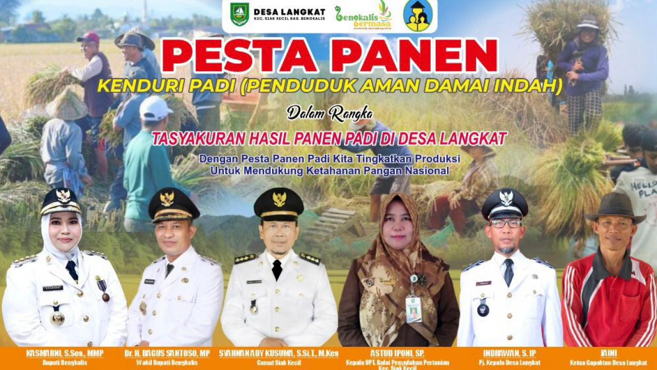 Pesta Panen Meriah di Desa Langkat, Siak Kecil, Tingkatkan Ketahanan Pangan Nasional