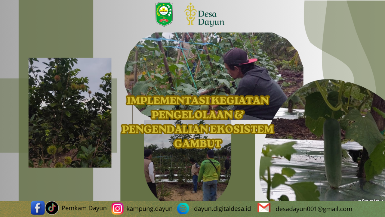 Implementasi Kegiatan Pengelolaan dan Pengendalian Ekosistem Gambut