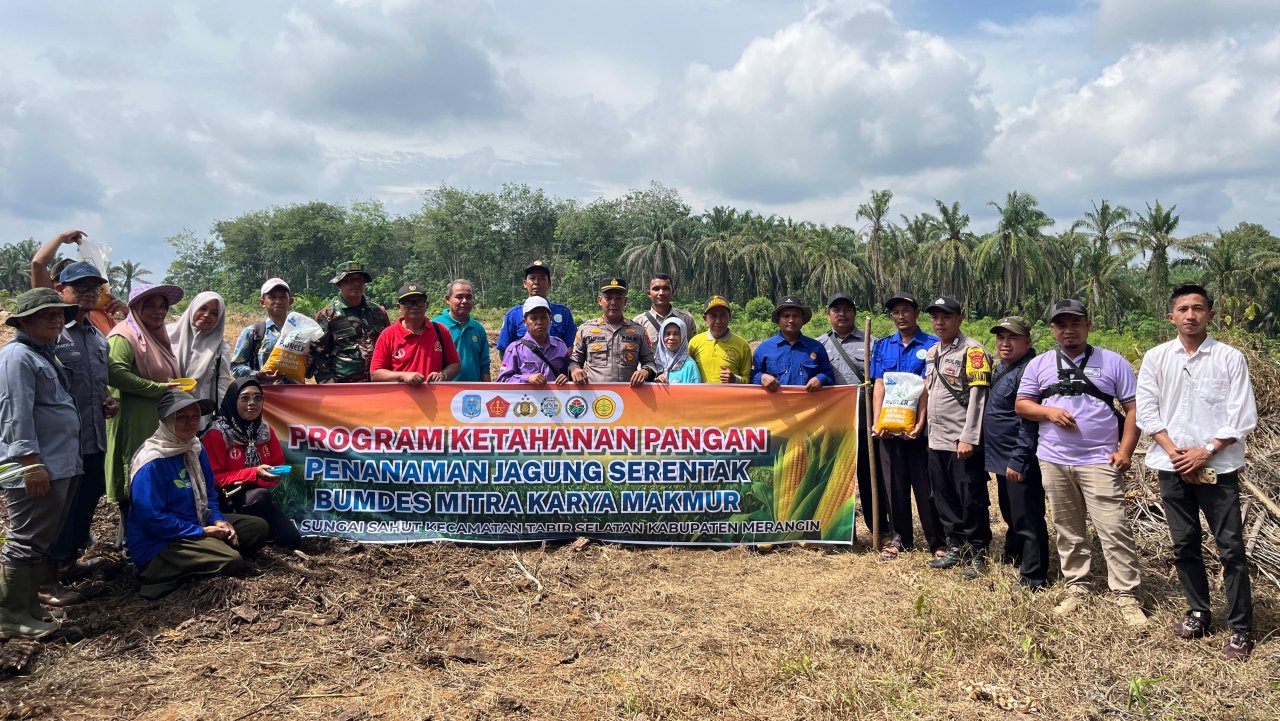 Penanaman Jagung: Program Ketahanan Pangan Bumdes Sungai Sahut