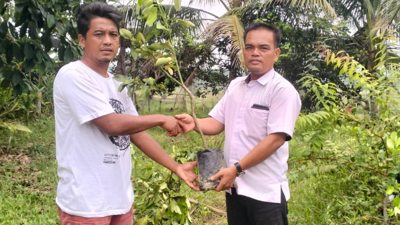 SERAH TERIMA BIBIT JERUK PAMELO PRODUK UNGGULAN DESA LIDUNG