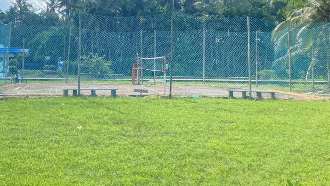 Lahan pekarangan