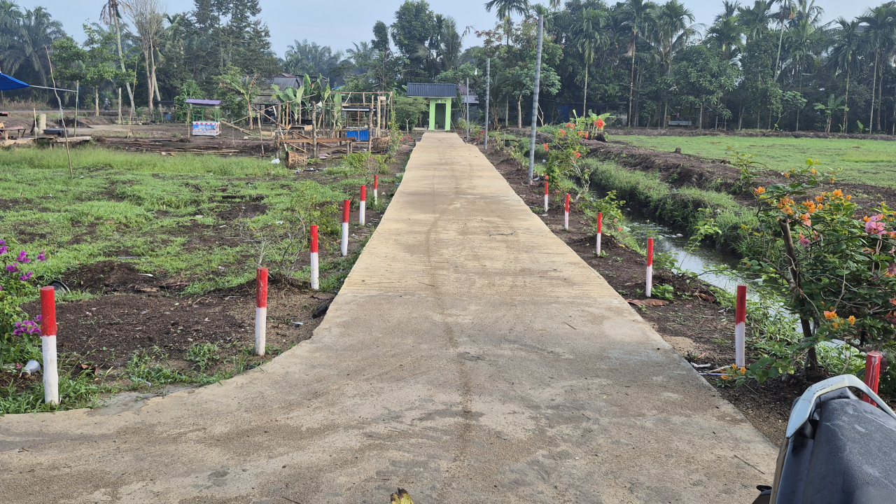 Taman Bugenvil sepanjang area Lapangan Sakti Lodaya (Bunga Kertas)