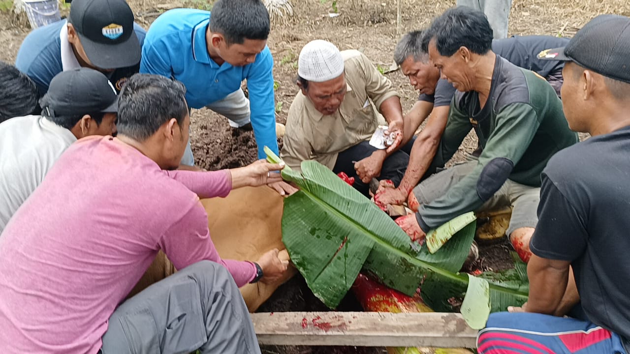 Berbagi dihari raya idul adha .janda anak yatim