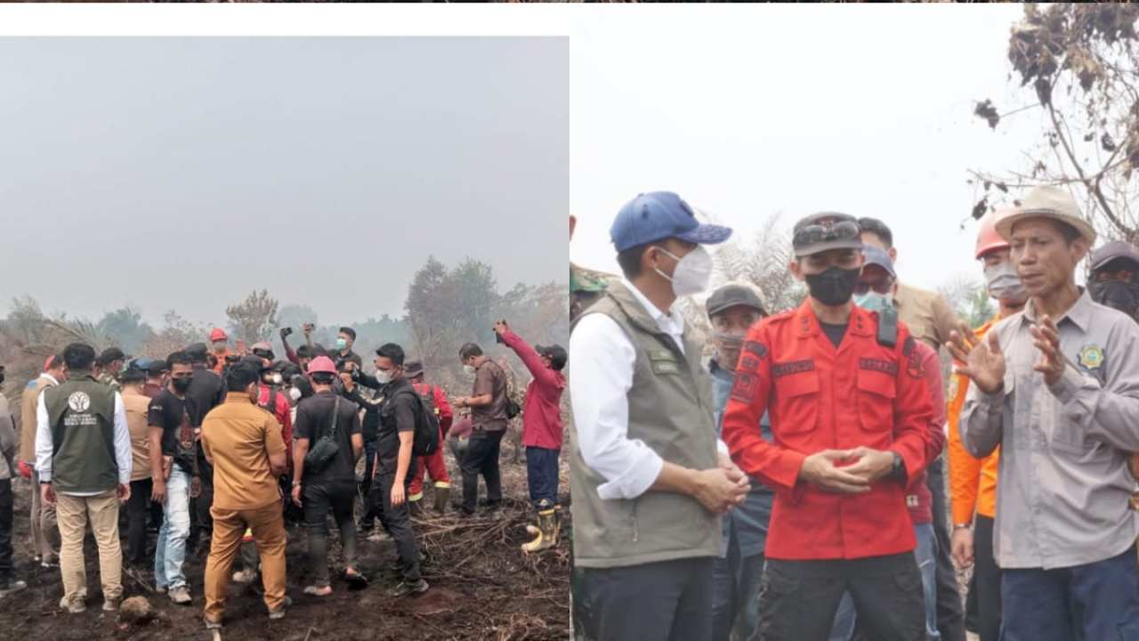 "SAAT MENTERI KEHUTANAN BERJALAN DI ATAS GAMBUT KITA"