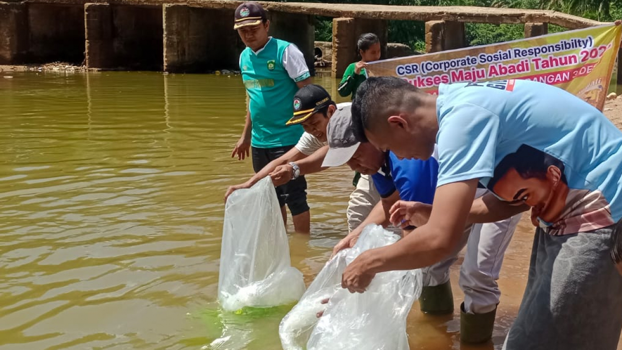 PT. SMA Berbagi 1.000 Bibit Ikan untuk Reservat Dusun Pemunyian