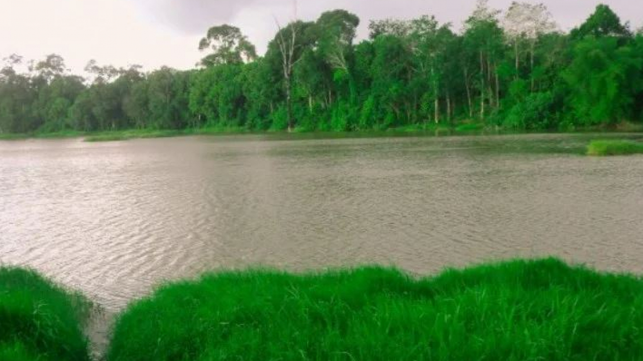 Danau Riak