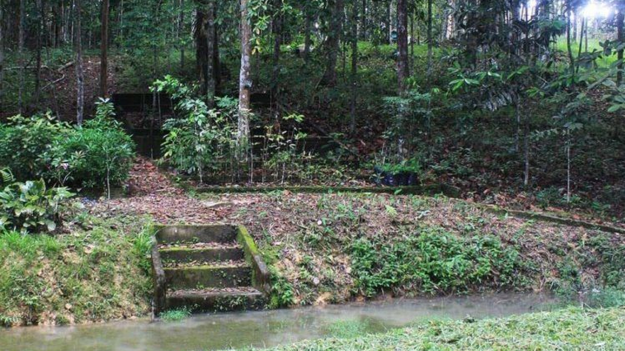 Kebun Raya Bukit Sari