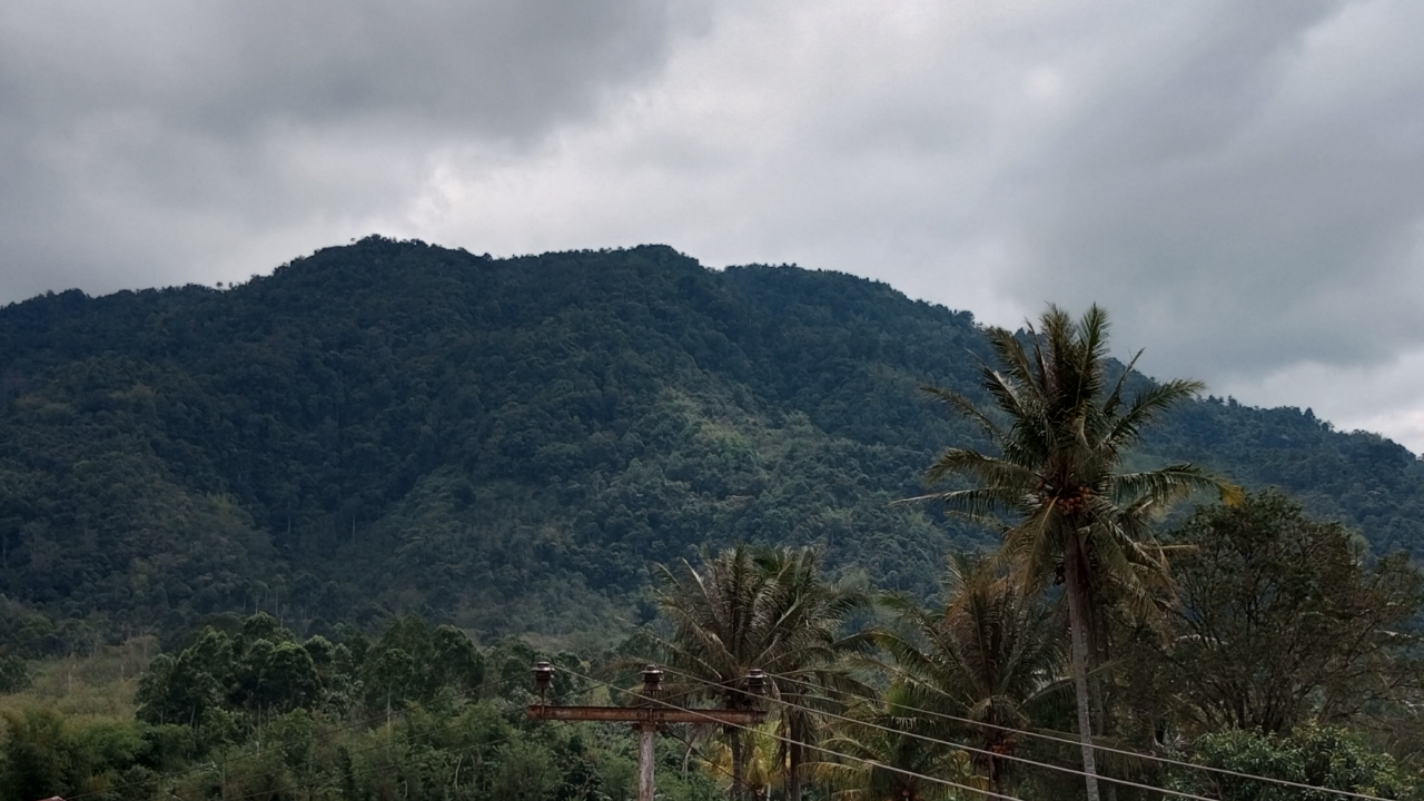 Curup Dabog dan Daki Bukit Tanjung Agung