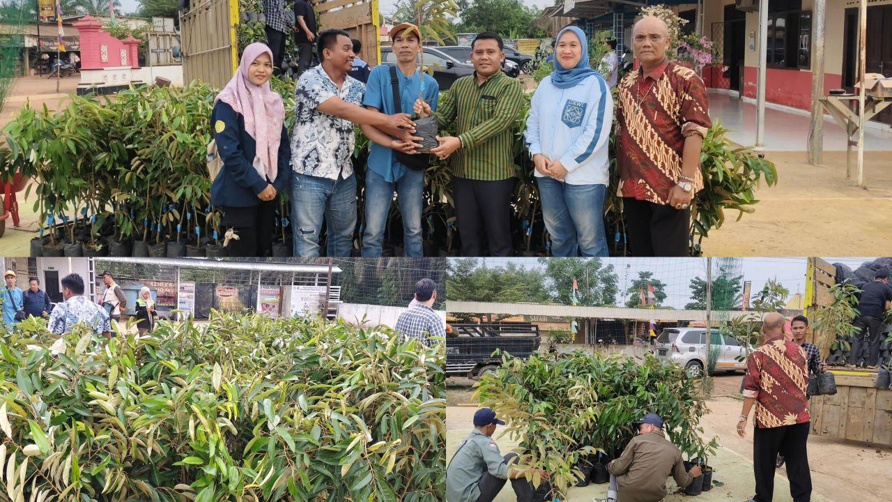Bantuan Bibit Buah-Buahan dari BPDAS HL Musi dan Dinas Terkait Kabupaten Banyuasin untuk Desa Sidomulyo