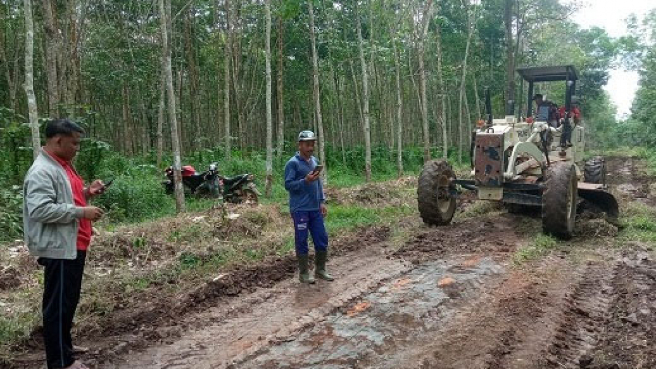Gebrakan Kades Rahmat SP, Gencarkan Pembangunan Jalan Tani di Desa Sidomulyo