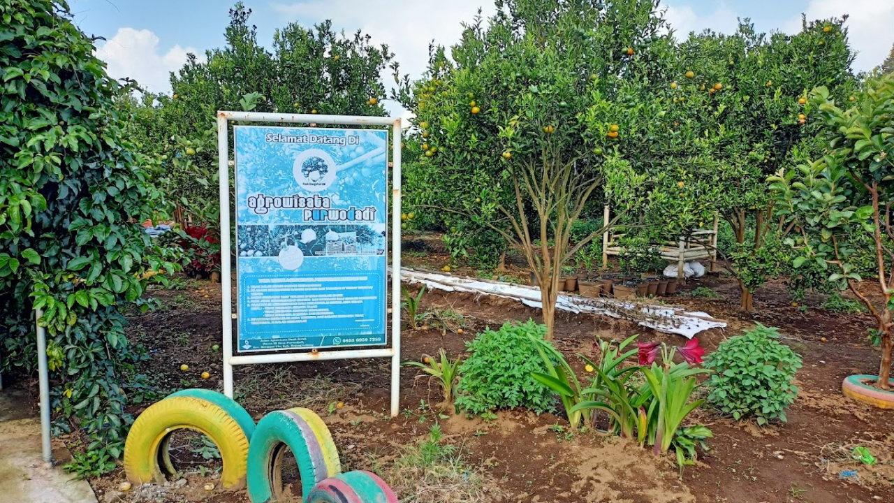 Agro Wisata Buah