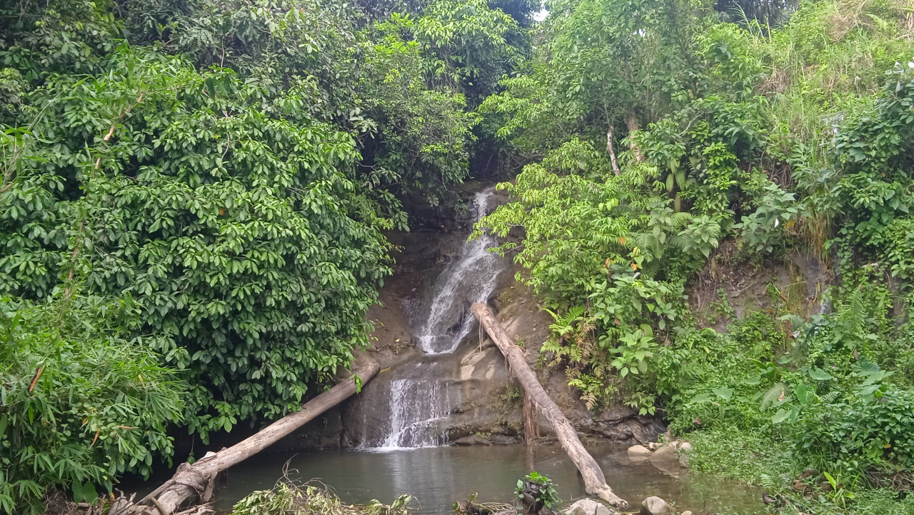 Air Terjun Muara Tiga