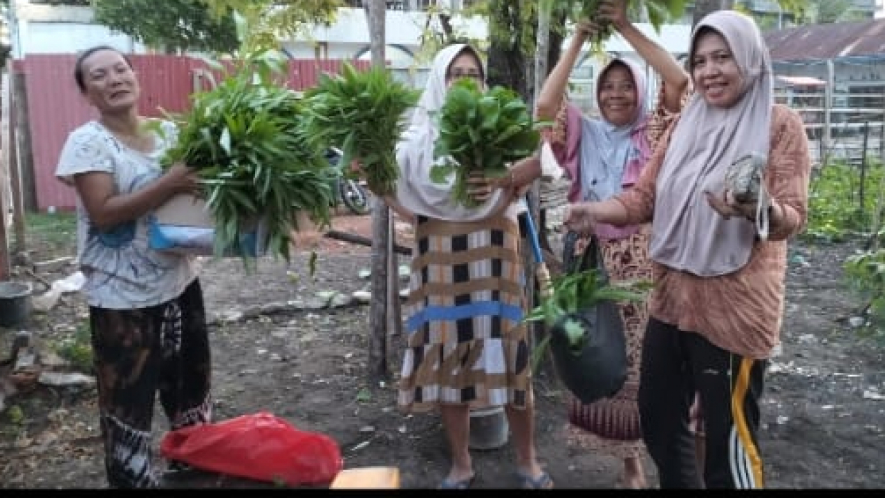 Pemanfaatan Lahan Pekarangan Melalui Budidaya Tanaman Obat Keluarga (TOGA) di Desa Air Dingin