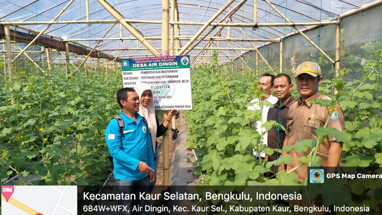 Pemantauan Ketahanan Pangan Budidaya Melon di Desa Air Dingin