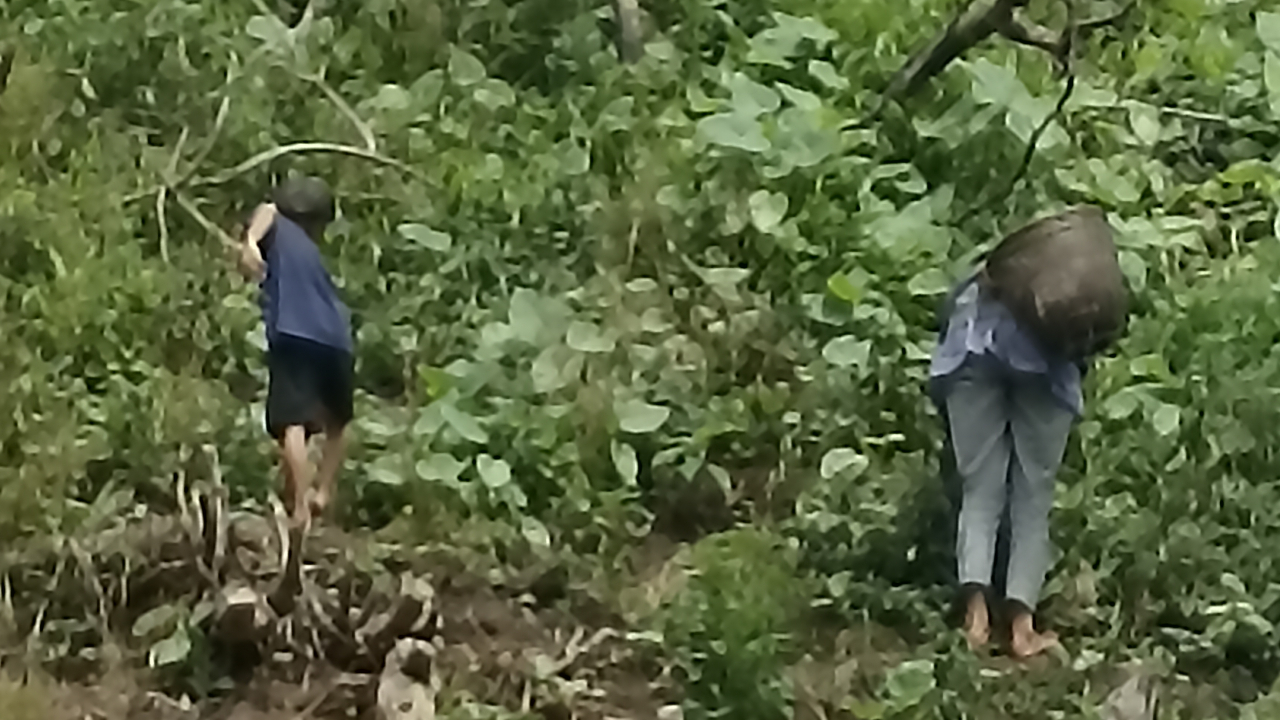 **Judul Artikel:** Tanah Pertanian, Tumpuan Hidup Warga Desa Tanjung Ganti I