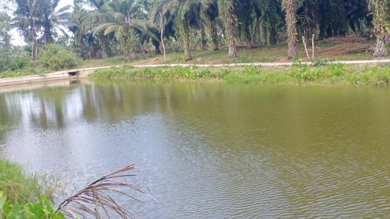 Mancing Asyik di Embung "Tebat Pelawi", Tanjung Ganti I