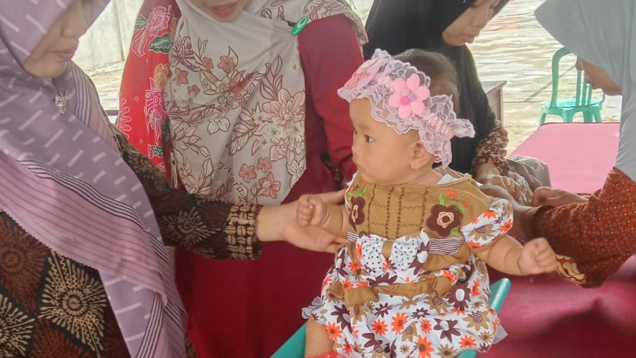 Pelaksanaan Posyandu di Desa Tanjung Ganti I