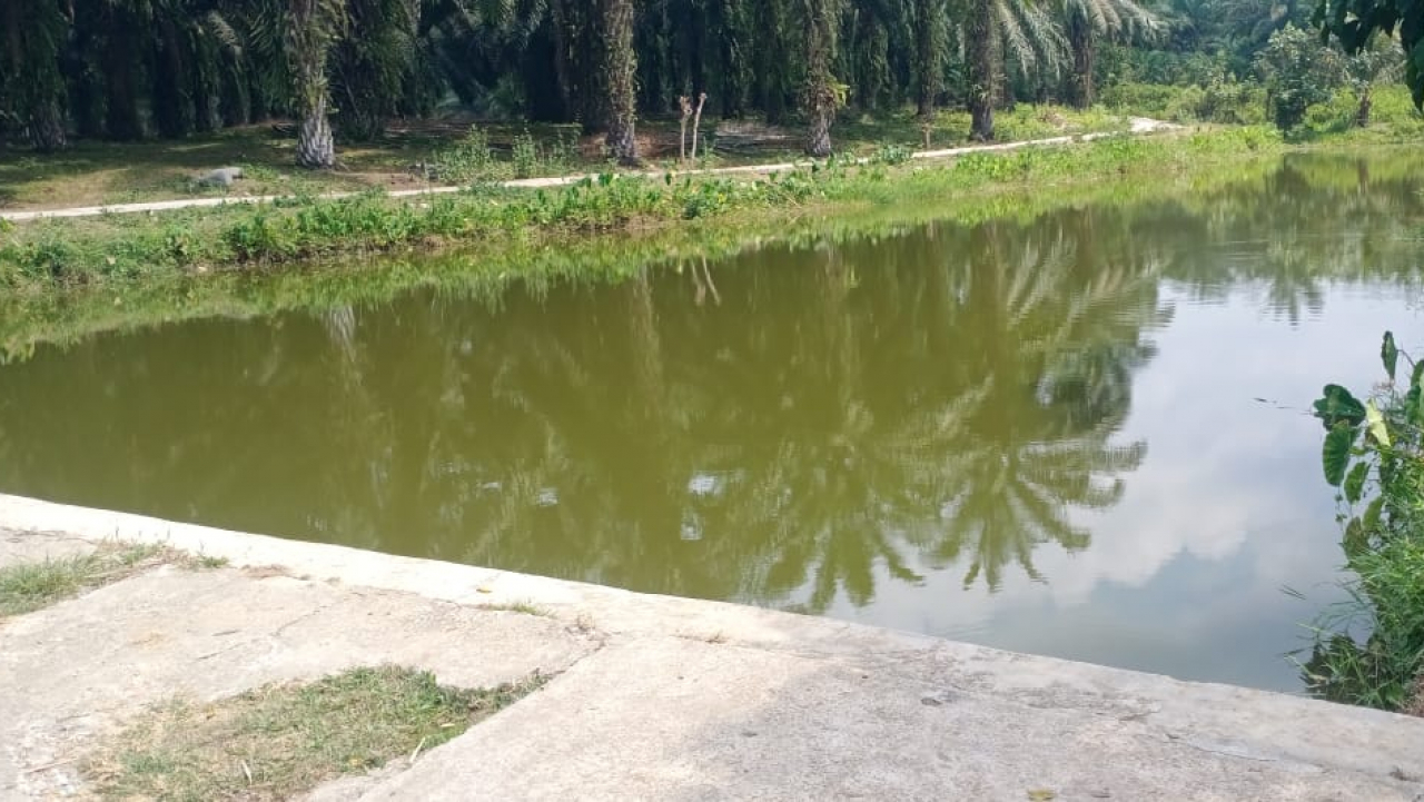 EMBUNG " TEBAT PELAWI"