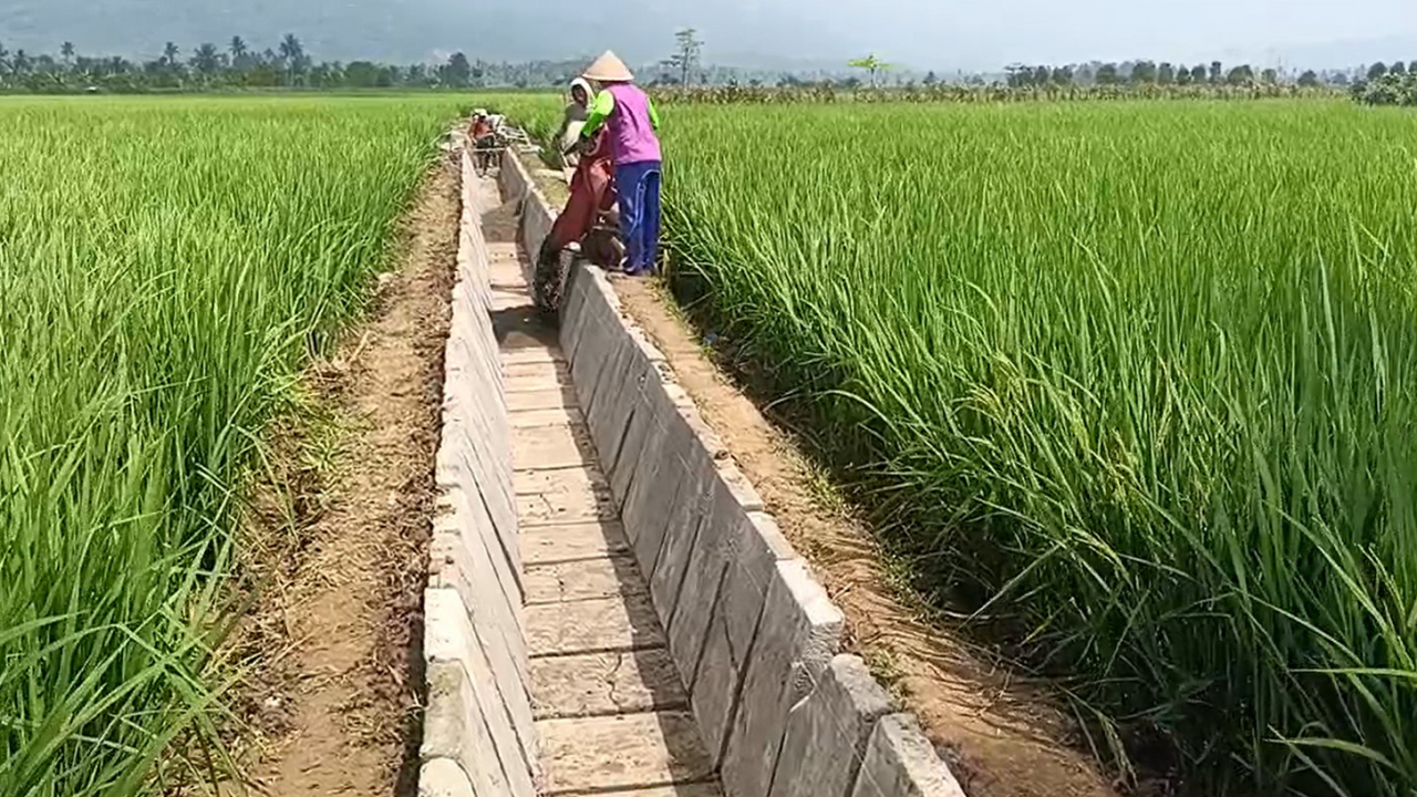 **Pembangunan Irigasi Tersier di Dusun 1 Pekon Sudimoro, Wujud Nyata Pemanfaatan Dana Desa untuk Sektor Pertanian**
