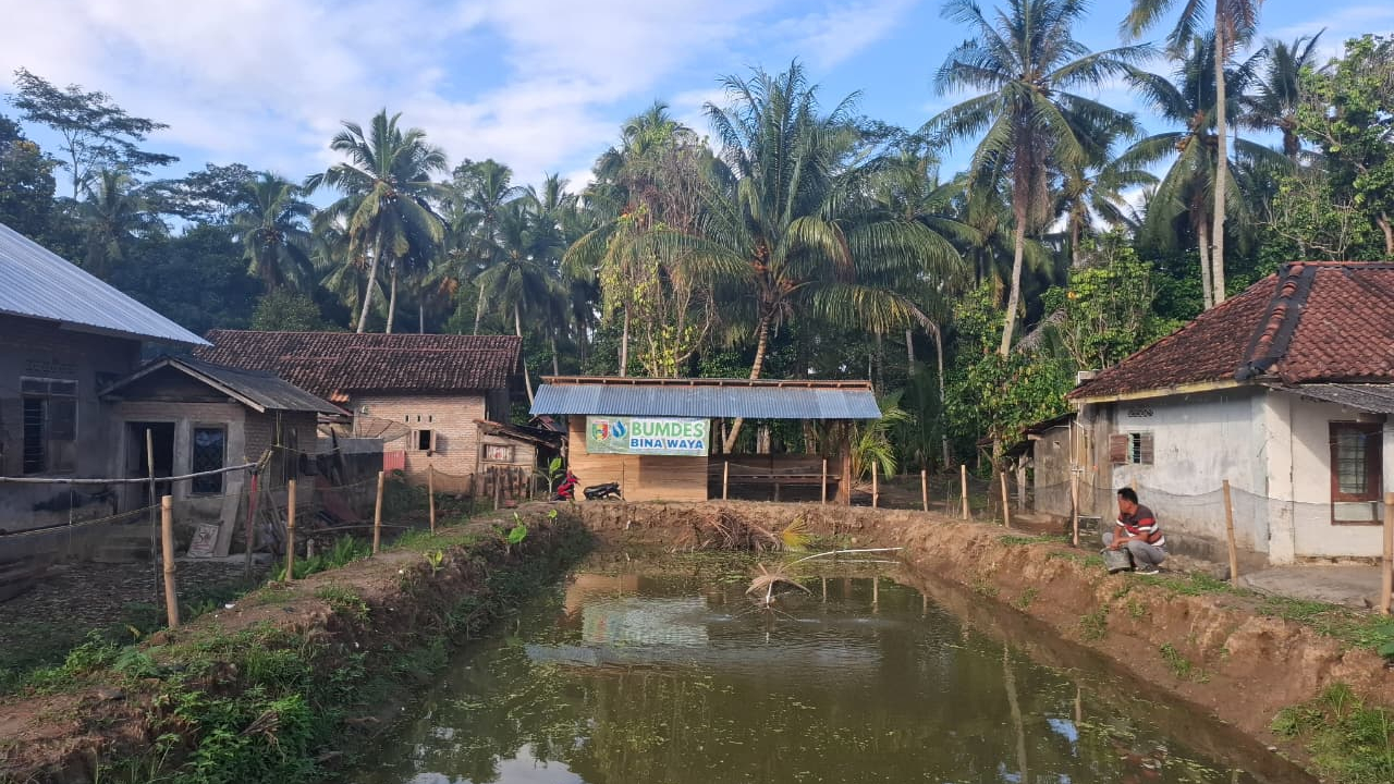 Budidaya Ikan air Tawar